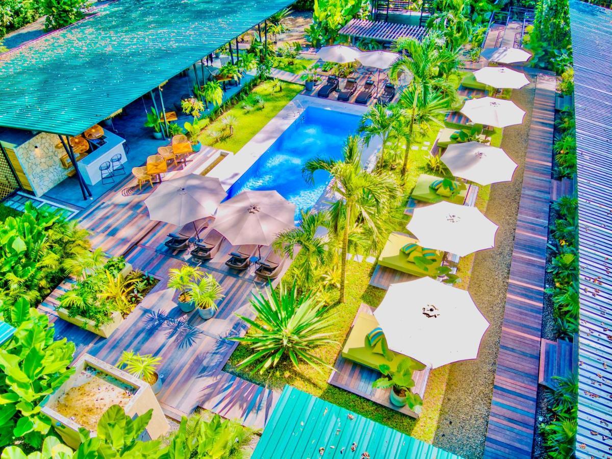 Exotico Beach Hotel Puerto Viejo de Talamanca 외부 사진