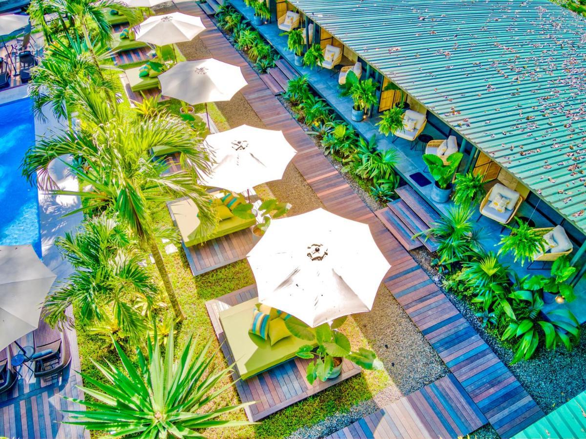 Exotico Beach Hotel Puerto Viejo de Talamanca 외부 사진