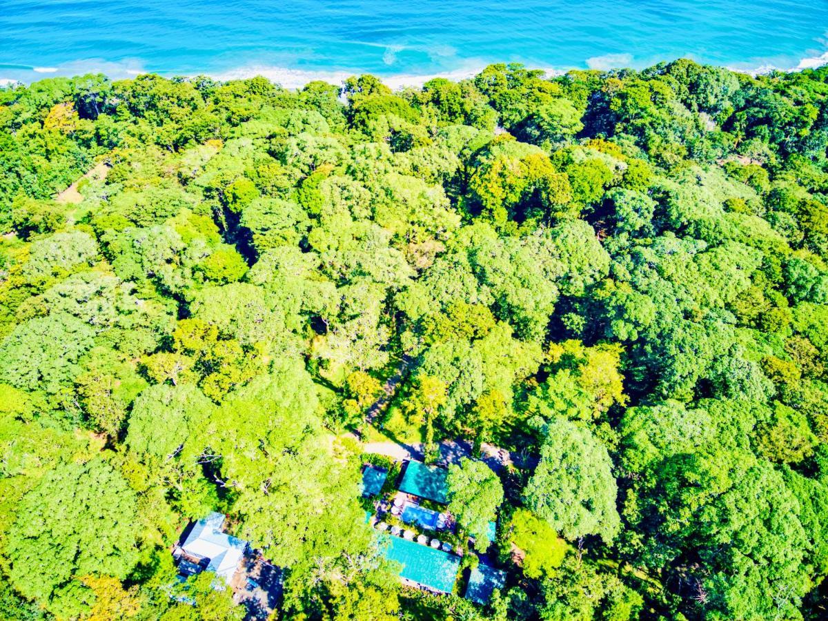 Exotico Beach Hotel Puerto Viejo de Talamanca 외부 사진