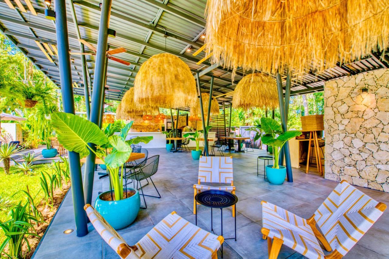 Exotico Beach Hotel Puerto Viejo de Talamanca 외부 사진