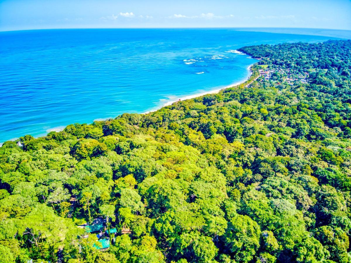 Exotico Beach Hotel Puerto Viejo de Talamanca 외부 사진